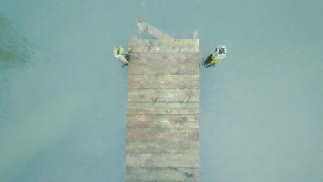 drone ascend above a lake starts at a wooden plank