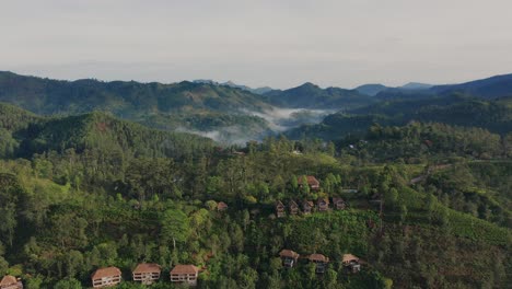 aerial del exuberante bosque tropical en sri lanka con resorts aislados revelando el puente de nueve arcos, ella