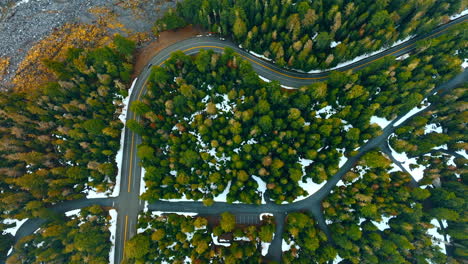 two asphalt roads cross in the pine-tree forest in winter. aerial perspective on the mount rainer national park, washington state, the usa.