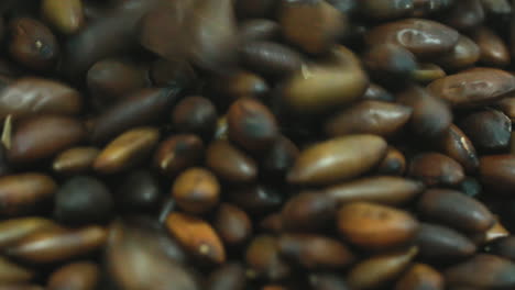 primer plano del superalimento brasileño, la nuez de barukas, que se vierte en un montón