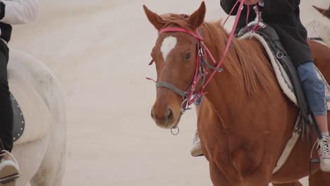 Gente-Montando-A-Caballo-En-El-Parque-Nacional-De-Goreme-En-Capadocia,-Turquía