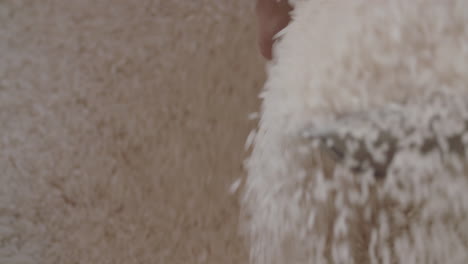 rice grains being shuffled with a scoop slow motion close up