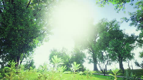 lush green park under bright sunlight with trees and vibrant foliage