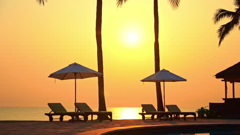 the setting sun in between two palm trees poolside