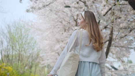 caucasian woman with tote bag walking under the sakura trees in bloom in yangjae citizens forest in seocho, seoul, south korea