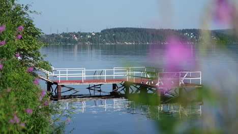 lakeside pier and flowers