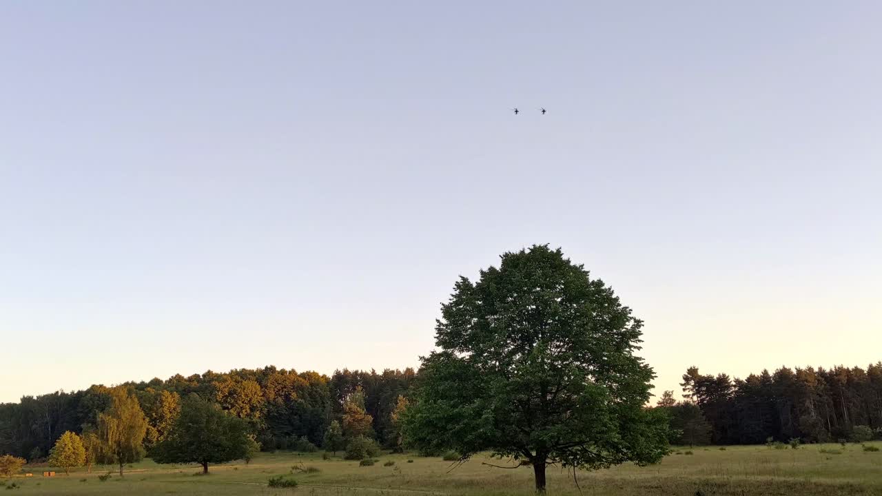 따뜻한 저녁 빛 속에서 독일 시골 상공을 비행하는 두 대의 아파치 헬리콥터