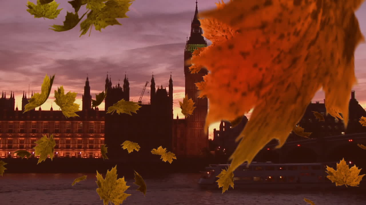 잎이 떨어지는 것