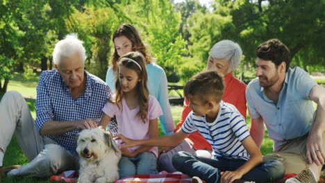 familia de varias generaciones jugando con su perro en el parque