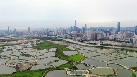 aerial view over shenzhen cityscape with massive urban development and skyscrapers