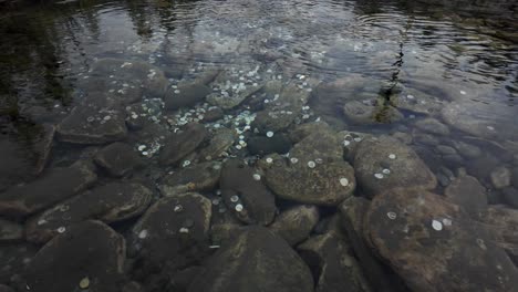 This-video-shows-the-bottom-of-a-river-in-the-mountains,-with-many-coins-scattered-across-the-rocks