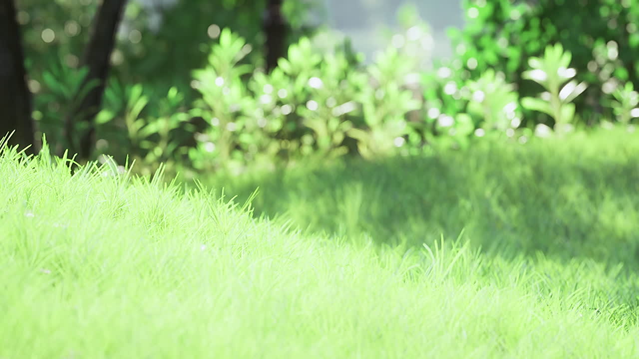 Vibrant green grass under soft sunlight in a serene garden setting