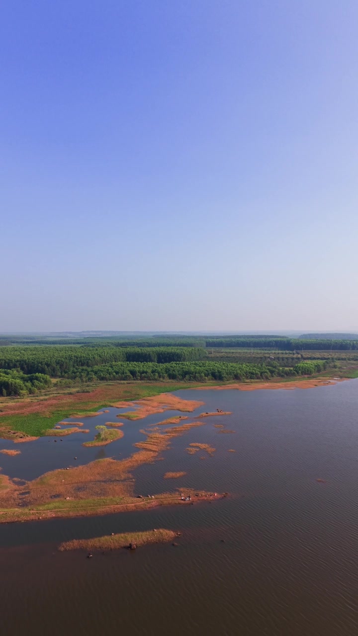 Il filmato mostra Ho Bong Trang a Vung Tau, Vietnam. Il video evidenzia il fiume, la vegetazione e le aree terrestri lungo l'acqua. Gli spettatori possono vedere il cielo azzurro brillante.