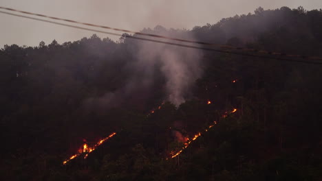 wildfire raging on the side of a mountain of trees in vietnam with smoke billowing upwards
