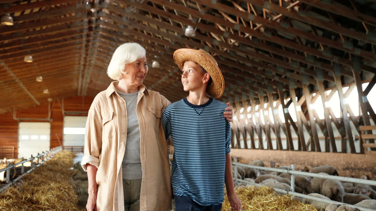 caucásica feliz vieja abuela canosa caminando y hablando con su lindo adolescente en establo con rebaño de ovejas