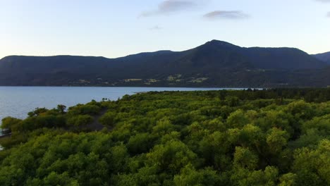 Aerial-drone-footage-of-plants-at-the-base-of-mountains,-showcasing-diverse-greenery-and-natural-beauty