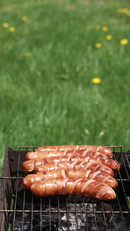 delicious barbecue on green grass background. hot dog sausages frying on a grill plate outdoors. roasting food on barbeque grill for picnic. vertical video