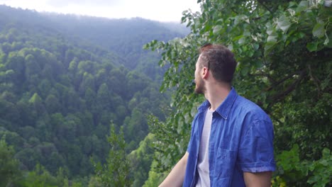 Zeit-Im-Wald-Verbringen,-Spazieren-Gehen.