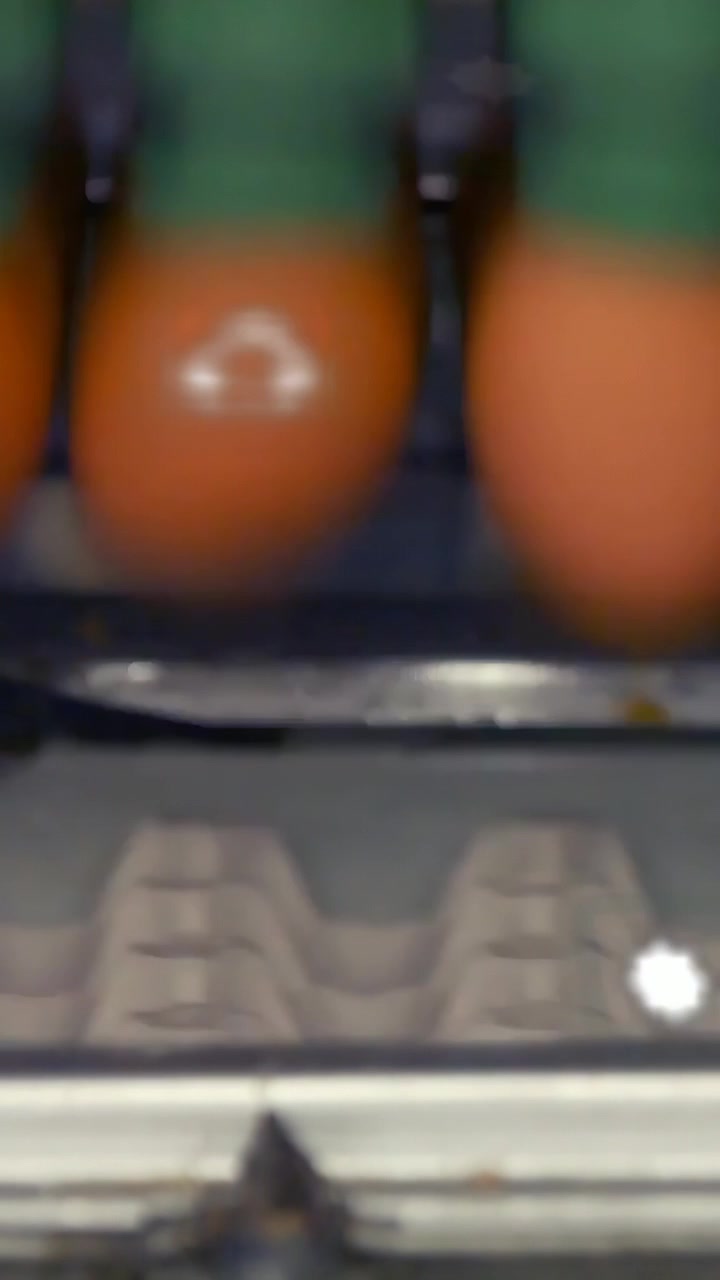 Vertical video: Sensor detecting egg, grippers lowering and guiding brown egg into tray for packing