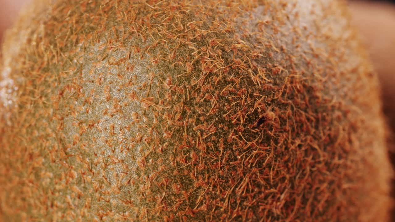 Close-up of Kiwi Fruit Skin