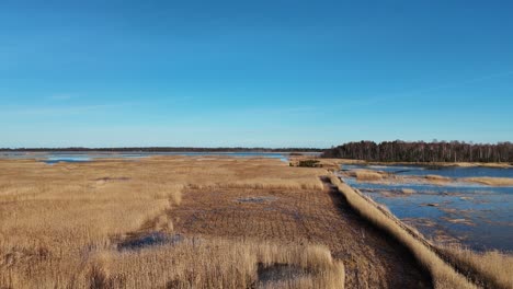 Holzbretter-Wanderweg-Durch-Das-Schilf-Des-Kaniera-Sees,-Luftaufnahme-Vom-Frühling,-Lapmezciems,-Lettland