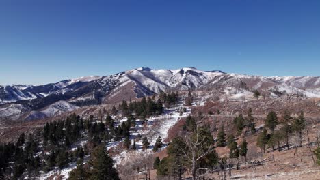 drone shot flying over trees with a road and large mountain range