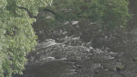 High-angle-shot-of-the-Wissahickon-creek-from-henry-Ave