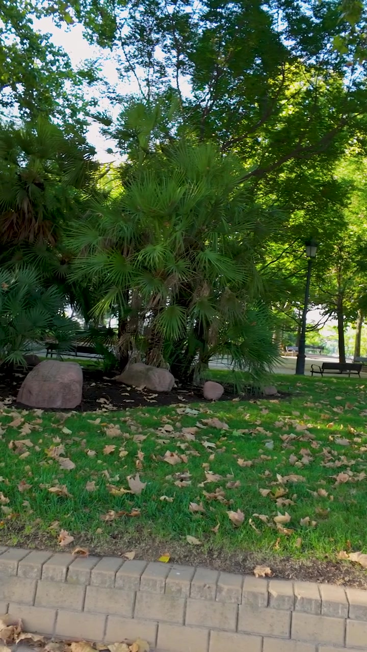 Pagi yang damai di taman umum Madrid yang menampilkan pepohonan hijau rimbun, daun-daun musim gugur yang berguguran, dan bangku-bangku kosong. Pemandangan alam perkotaan otentik untuk konten perjalanan dan kesehatan.