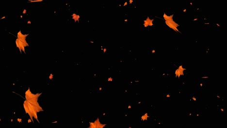 A flurry autumn leaves falling to the ground autumn leafs loop background romantic season september