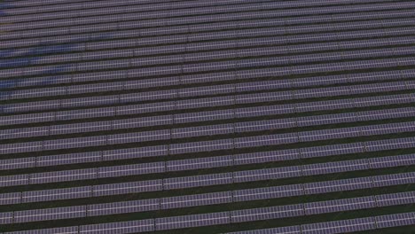 view from a drone on solar energy collectors at sunset