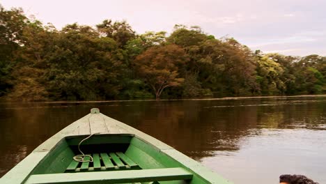 the bow of a boat as you are transported in the anavilhanas national park in the rio negro of brazil's amazon rainforest