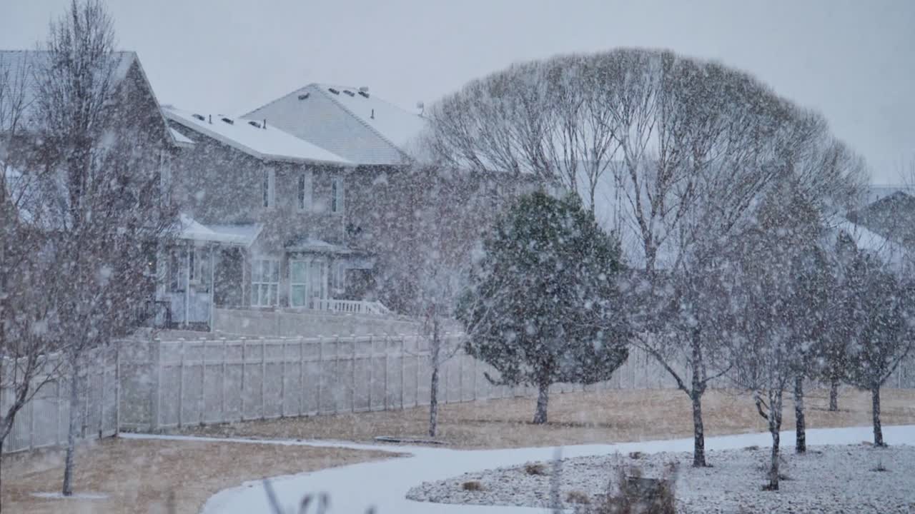 슬로우 모션으로 교외 공원에 폭설이 내리고 있다