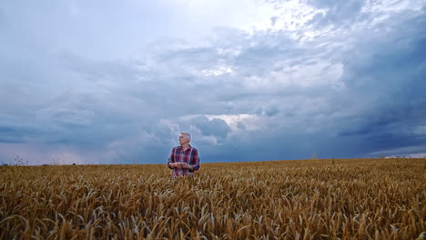 mature caucasian man standing in the wheat field up to his waist. farmer looking at the vast farmland of ripe corn.