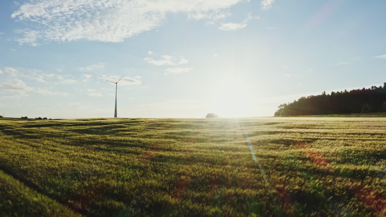 해가 지는 동안 밀에 있는 풍력 터빈