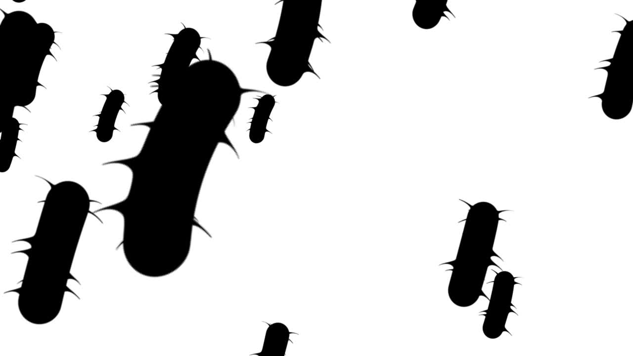 4k 현미경 박테리아 의학적 배경 - 루프, 루프 가능한 박테리아 - 떠다니는 e. coli 박테리아 (박테리아) - 세균 - bacrerium의 3d 애니메이션. spirilla - 박테리아 클로즈업 - 검은색