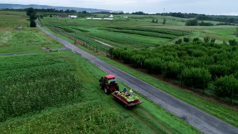 aerial view of tractor pulling a flatbed filled with corn freshly picked from the field