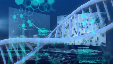 Dna-structure-spinning-against-screens-on-medical-data-processing-on-blue-background