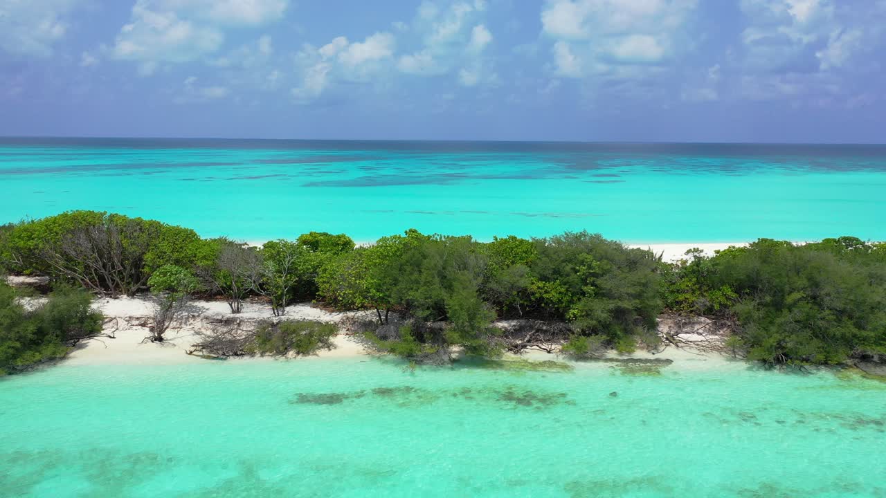 Vegetazione lussureggiante di un'isola tropicale che prospera su sabbia bianca bagnata da una laguna turchese con barriera corallina in una calda giornata estiva alle Seychelles