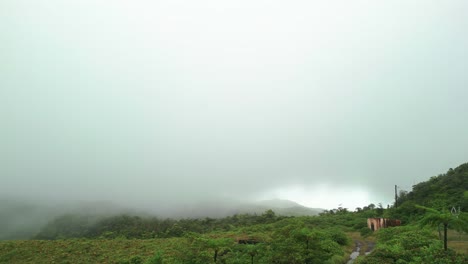 foggy forest zoom in drone shot