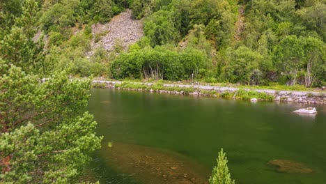 aerial pullback from lakeshore over green water flowing, drone flies between evergreen trees on small island