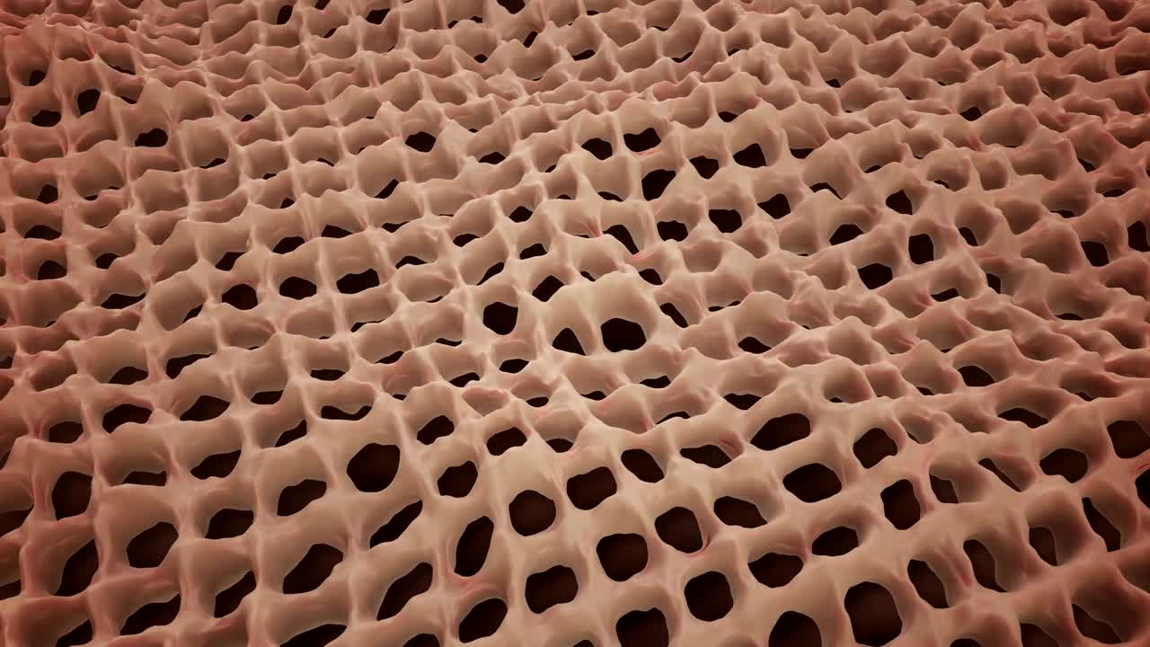 malla orgánica en movimiento.