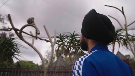 vista trasera de un hombre indio punjabi sikh mirando hacia arriba a un lémur sentado en la madera de un árbol contra el cielo nublado