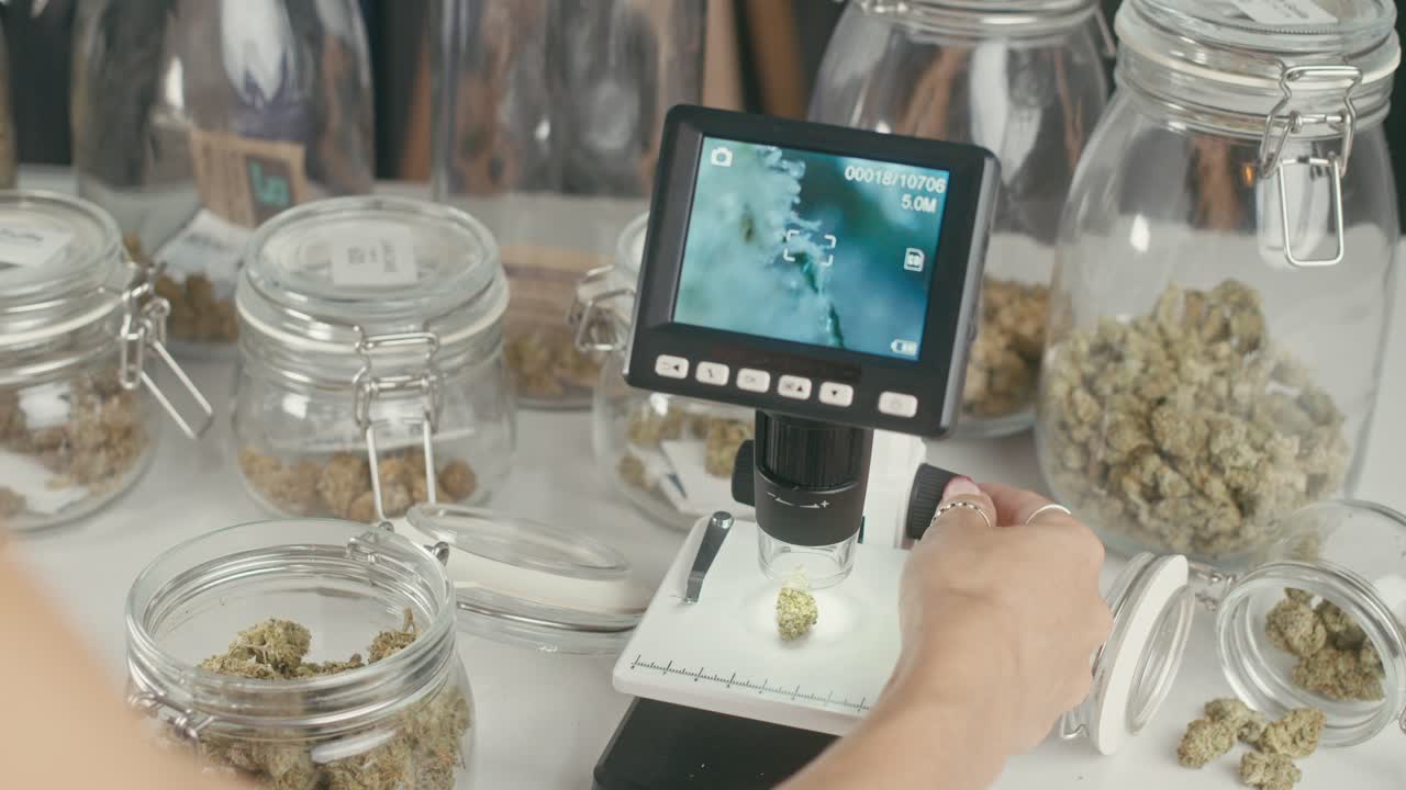 Marijuana Inspection and Analysis with Microscope and Digital Camera