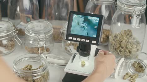 marijuana inspection and analysis with microscope and digital camera