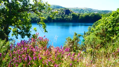 vista de la colina del campo pintoresco lago azul brillante y soleado rodeado de un exuberante y pacífico bosque