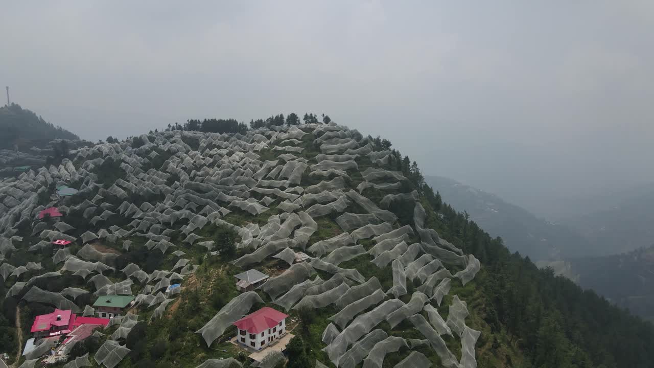 imagen aérea de drones de las granjas de manzanas situadas en himachal pradesh. las granjas de mazás cubiertas de tela blanca.