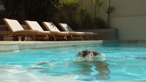 mujer atractiva sumergiendo su cabeza en la piscina
