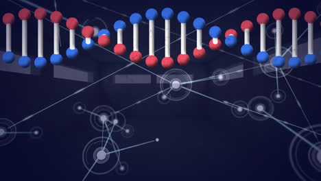 animación digital de la estructura del adn girando sobre una red de conexiones contra un fondo negro