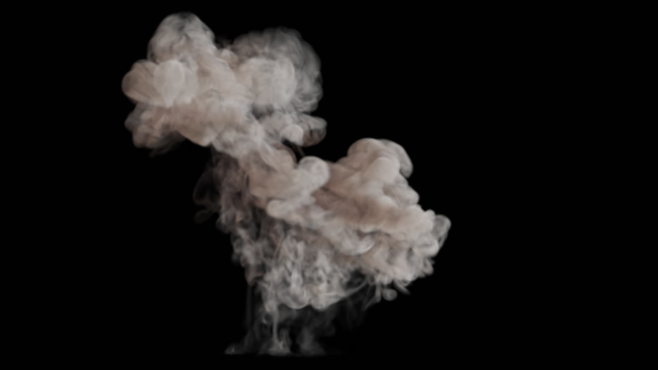 연기 및 화재 시레이션