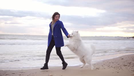 Attractive-young-woman-plays-and-strokes-her-dog-of-the-Samoyed-breed-running-by-the-sea.-White-fluffy-pet-on-the-beach-having